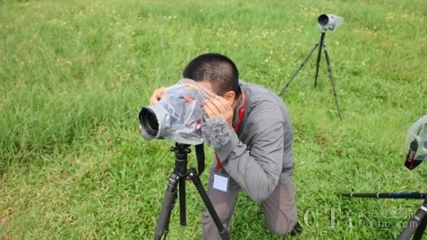 ̽���±������L(zh��ng)����̖(h��o)�b��/�϶���̖(h��o)�ɹ��l(f��)��